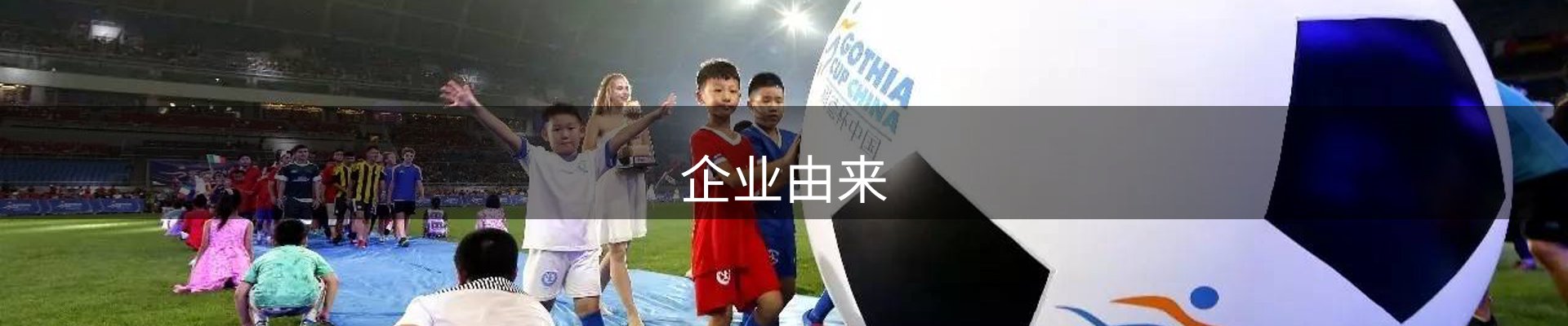 企业由来